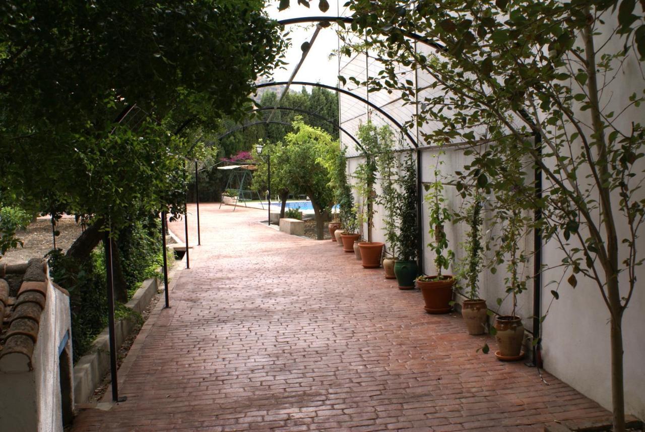 La Canota King Rooms Adults Only Talara Eksteriør billede