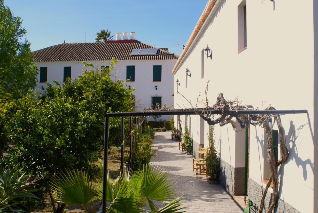 La Canota King Rooms Adults Only Talara Eksteriør billede